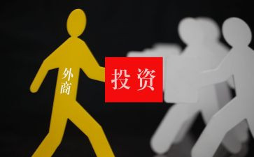 投资处工作总结模板8篇