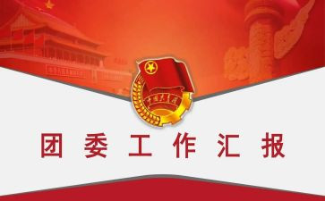 省团委工作总结5篇