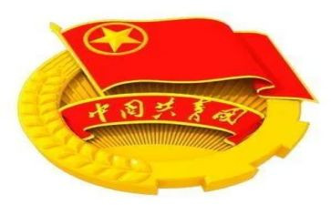 省团委工作总结精选5篇