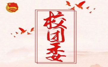 把团委工作总结模板5篇