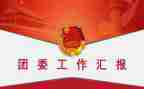 省团委工作总结5篇