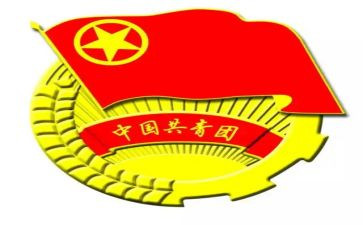 团支部个人年度总结6篇