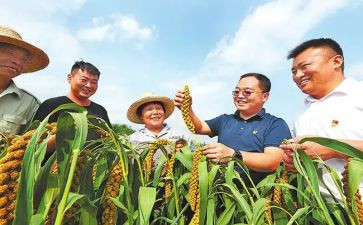 脱贫年工作总结8篇