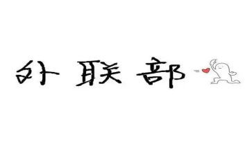 外联个人工作总结8篇