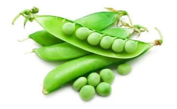 《豌豆上的公主》读后感5篇