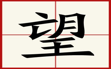 展望未来2023的作文6篇