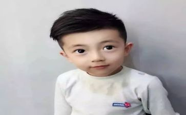 猫王子读后感100字7篇