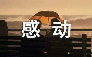 你,让我感动作文800字6篇