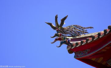寿文化活动总结最新5篇