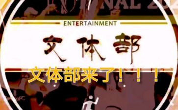 文体者工作总结推荐8篇