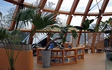 我的书屋我的心作文优秀5篇