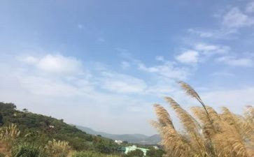 我的一天小作文通用7篇