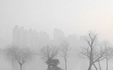 雾霾调查社会实践报告8篇