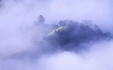 雾的读后感300字参考8篇