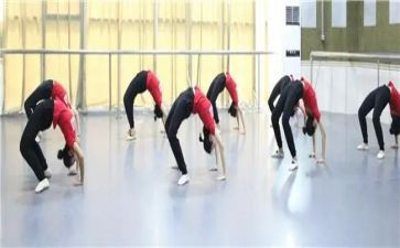 个人舞蹈教师工作总结5篇