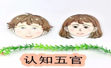 幼儿园小班五官教案6篇