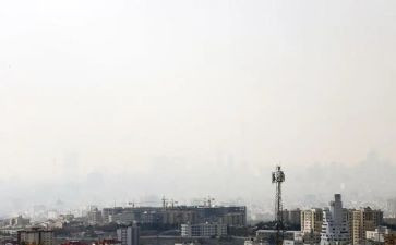 关于环境的污染的作文8篇