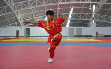 武术生工作总结7篇