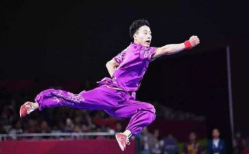 体育武术教案7篇