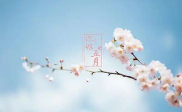五月份教师总结7篇