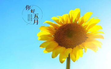 幼儿园五月份月计划优质7篇