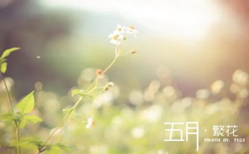 幼儿园五月份日工作总结7篇