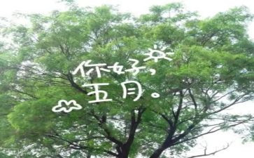 五月份大班工作总结7篇