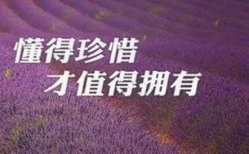 我珍惜友谊作文600字6篇
