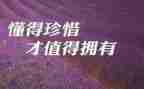 我珍惜友谊作文600字6篇