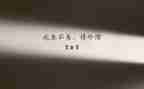 珍惜粮食的作文400字6篇