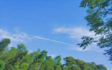 2023夏幼儿园安全总结推荐7篇