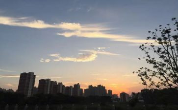 高二下班主任工作总结6篇
