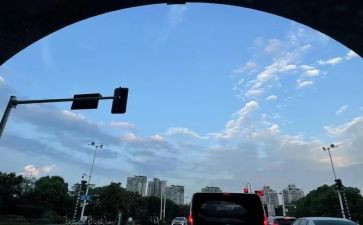 高二下班主任工作总结优秀5篇