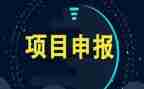项目年终组工作总结参考6篇