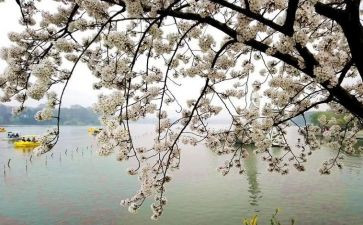 想起这件事我就作文400字8篇
