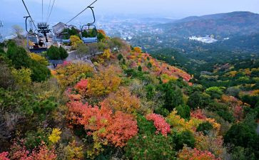 爬香山作文400字7篇