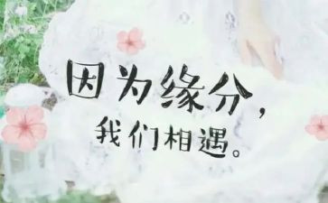 相遇记叙文作文6篇
