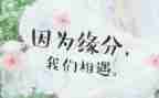 我与...相遇作文参考5篇