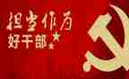 2023年乡镇干部年终总结通用6篇