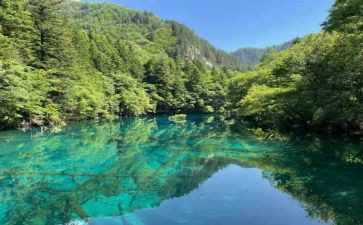 汉修先生读后感推荐5篇