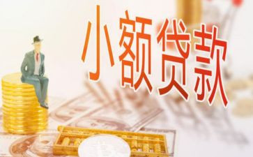 小贷工作总结7篇
