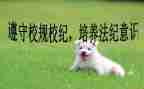 校纪检部工作总结范文8篇
