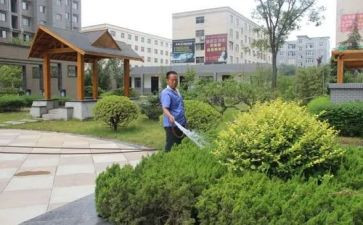 小区物业年度工作总结6篇