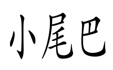 小尾巴的教案优质6篇