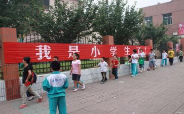 小学网络教育活动方案6篇
