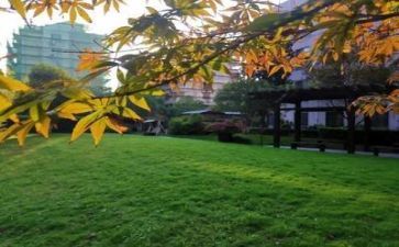 关于校园的活动方案5篇