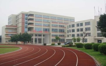 系校园文化活动总结7篇