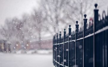 下雪了大班教案8篇