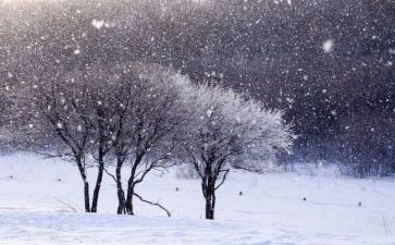 下雪了教案8篇