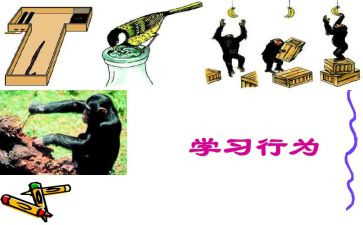 规范行为演讲稿5篇